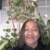 tammieholmes402
